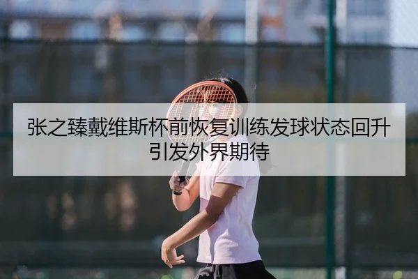 张之臻戴维斯杯前恢复训练发球状态回升引发外界期待